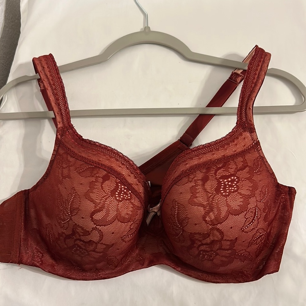 CACIQUE Maroon Lace Padded Underwire Bra Normal Wear